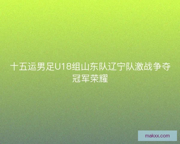 十五运男足U18组山东队辽宁队激战争夺冠军荣耀