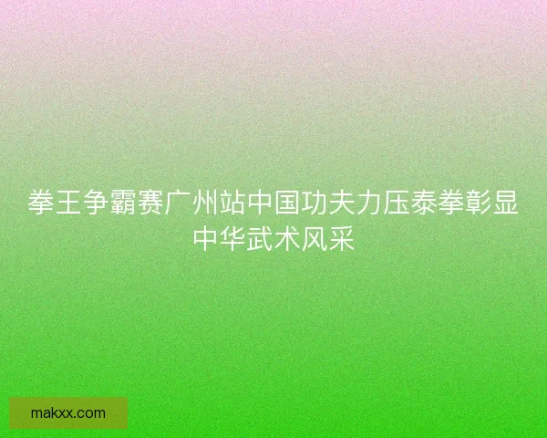 拳王争霸赛广州站中国功夫力压泰拳彰显中华武术风采