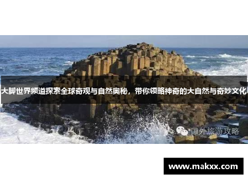 大脚世界频道探索全球奇观与自然奥秘，带你领略神奇的大自然与奇妙文化