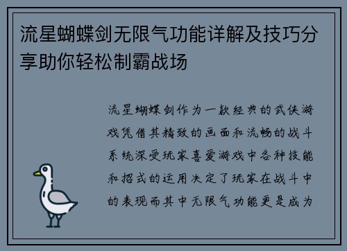 流星蝴蝶剑无限气功能详解及技巧分享助你轻松制霸战场